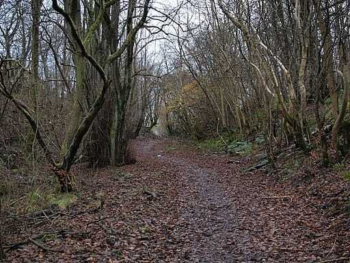 Castlemilk Park