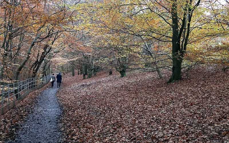 Linn Park - Historic bridges, castle ruins, and diverse wildlife