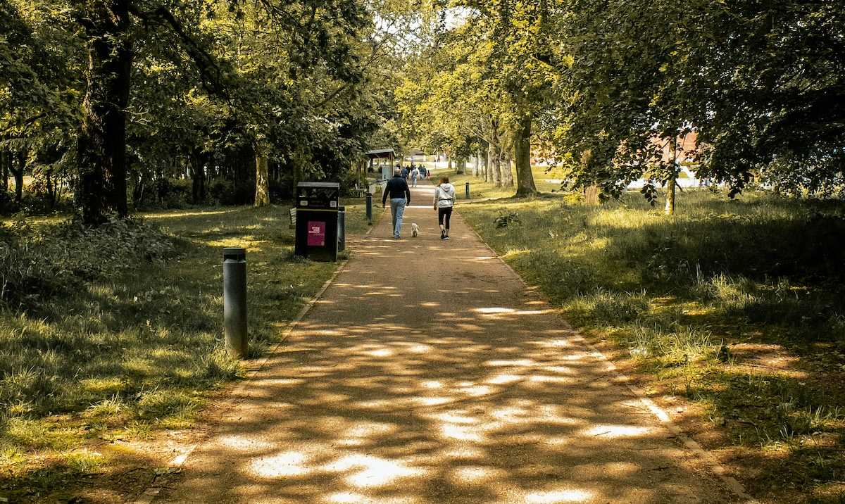 A Digital Guide to Glasgow's Green Treasures header image